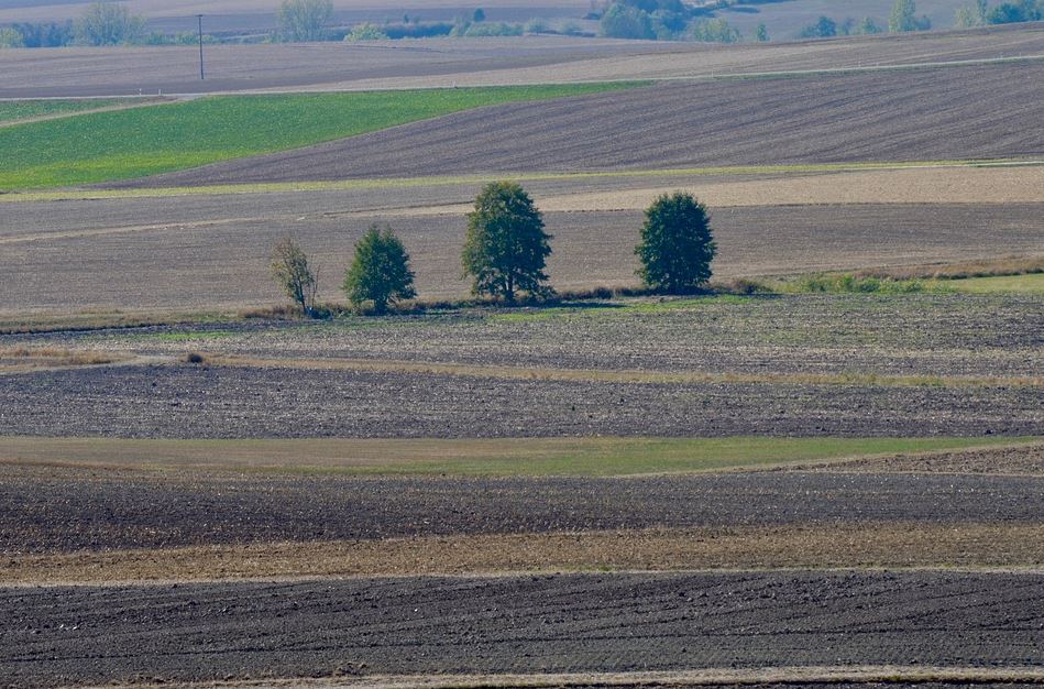 Kapitalanlage in rumänisches Ackerland? - Mein Finanz-Vergleichs-Blog